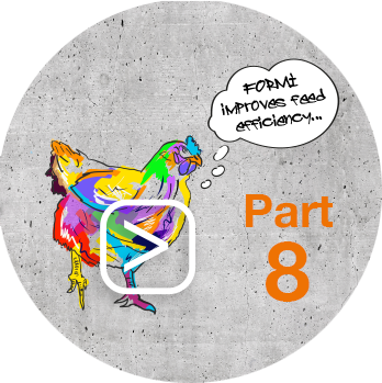 Feed_Efficiency_mit_Play_Button_Part8_Huhn.png